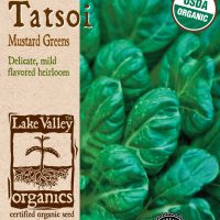 Tatsoi Mustard Green