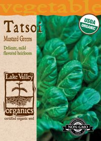 Tatsoi Mustard Green