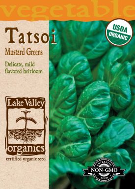 Tatsoi Mustard Green