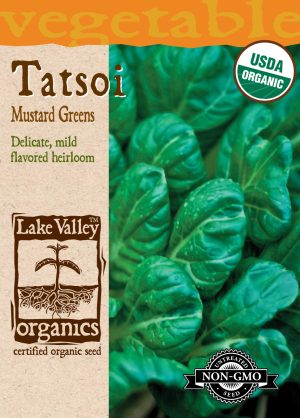 Tatsoi Mustard Green