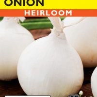 Onion White Sweet Spanish