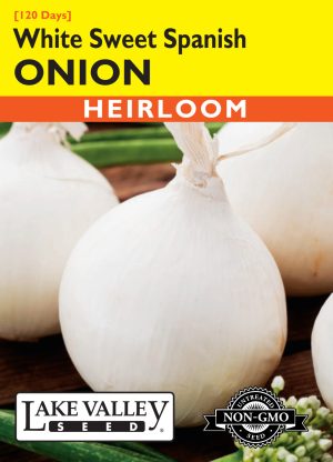 Onion White Sweet Spanish