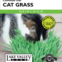 Cat Grass Common Oat Value Pack
