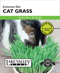Cat Grass Common Oat Value Pack