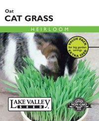 Cat Grass - Item #3940