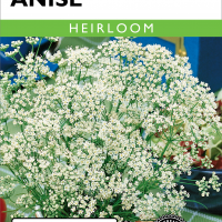 Anise Aniseed