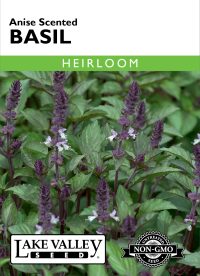 Basil Anise Scented - Item #397