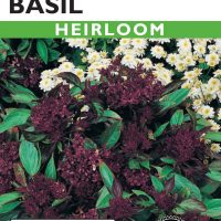 Basil Anise Scented