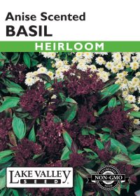 Basil Anise Scented
