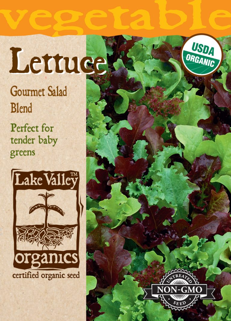 Lettuce Gourmet Salad Blend Item 3979 Lake Valley Seed