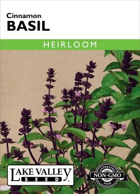 Basil Cinnamon - Item #398