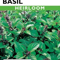 Basil Cinnamon - Item #398