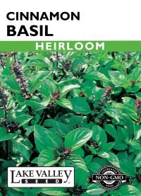 Basil Cinnamon - Item #398
