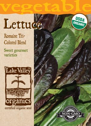 Lettuce Romaine Tri-Colored Blend