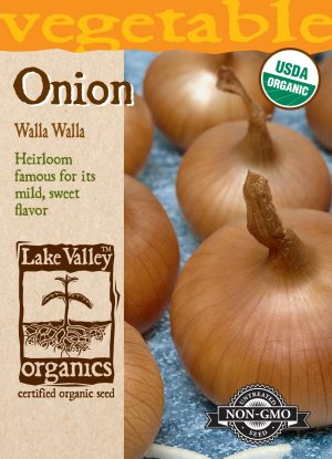Onion Walla Walla Sweet