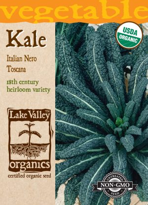 Kale Italian Nero Toscana