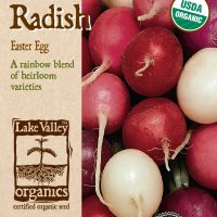 Radish Easter Egg Blend