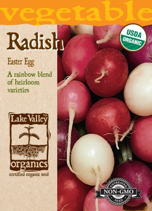 Radish Easter Egg Blend