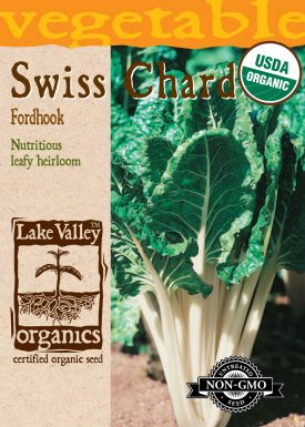 Swiss Chard Fordhook