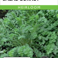 Salad Burnet - Item #399