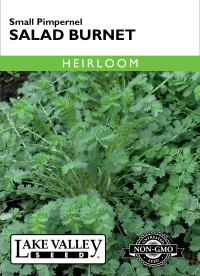 Salad Burnet - Item #399
