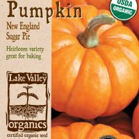 Pumpkin New England Sugar Pie