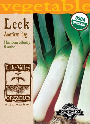 Leek American Flag