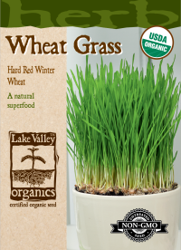 Wheat Grass - Item #3996