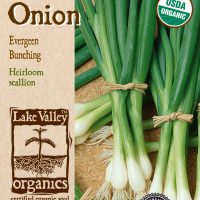 Onion Evergreen Bunching