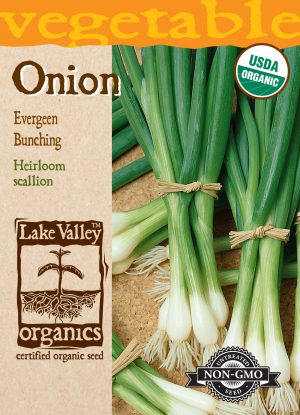 Onion Evergreen Bunching