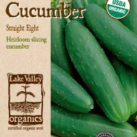 Cucumber Straight Eight