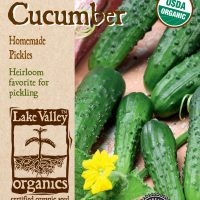 Cucumber Homemade Pickles
