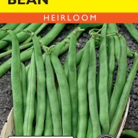 Bean (Bush) Tendergreen Improved