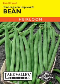 Bean (Bush) Tendergreen Improved