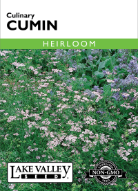 Cumin - Item #401
