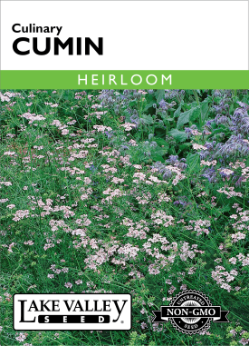 Cumin - Item #401