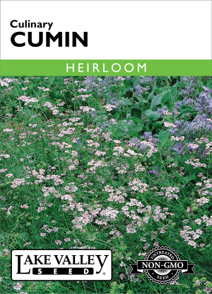 Cumin - Item #401