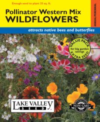 Wildflowers Pollinator Western Mix