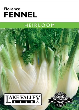 Fennel Florence - Item #403