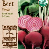 Beet Chioggia - Item #4053