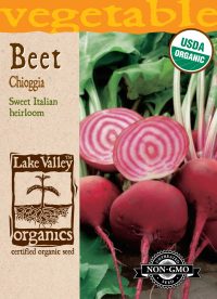 Beet Chioggia - Item #4053