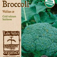 Broccoli Waltham 29