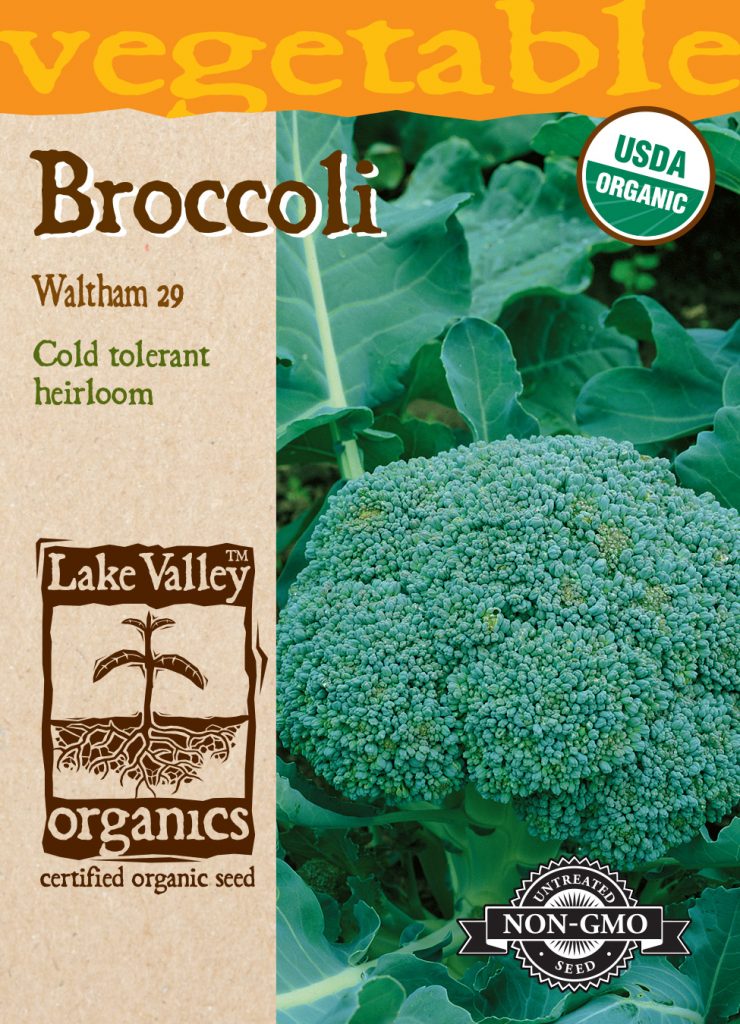 Broccoli Waltham 29 Item 4054 Lake Valley Seed