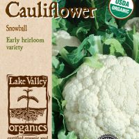 Cauliflower Early Snowball