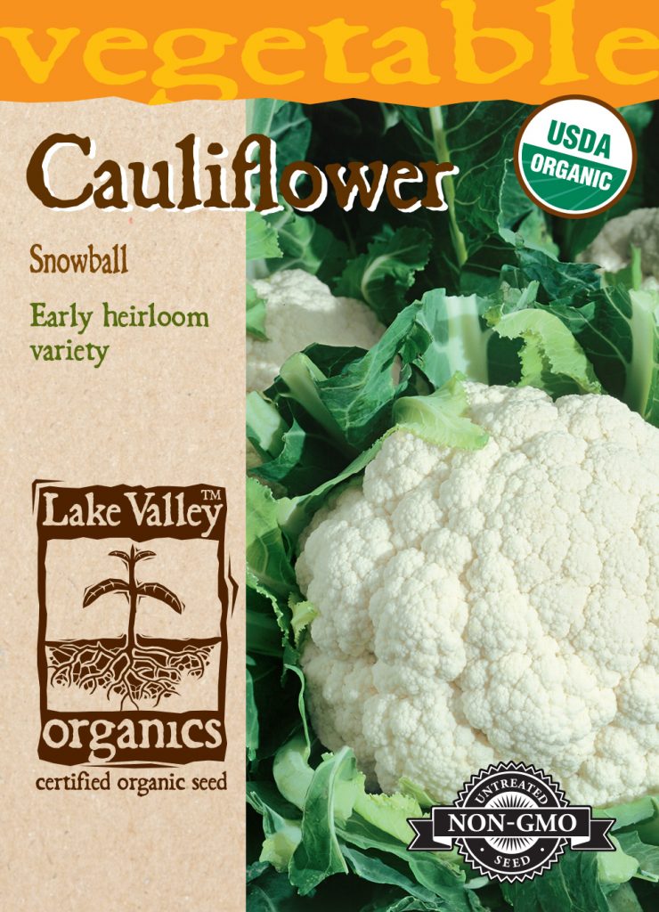 Cauliflower Early Snowball Item 4056 Lake Valley Seed