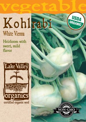 Kohlrabi Early White Vienna