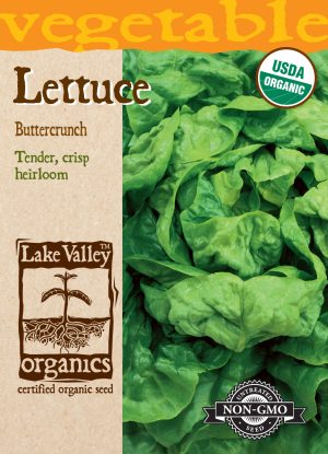 Lettuce Buttercrunch - Item #4059