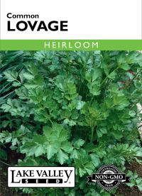 Lovage Common