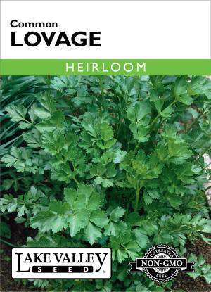 Lovage Common