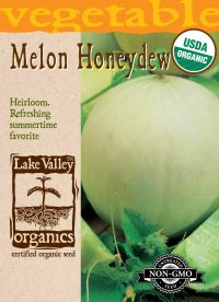 Melon Honeydew - Item #4060